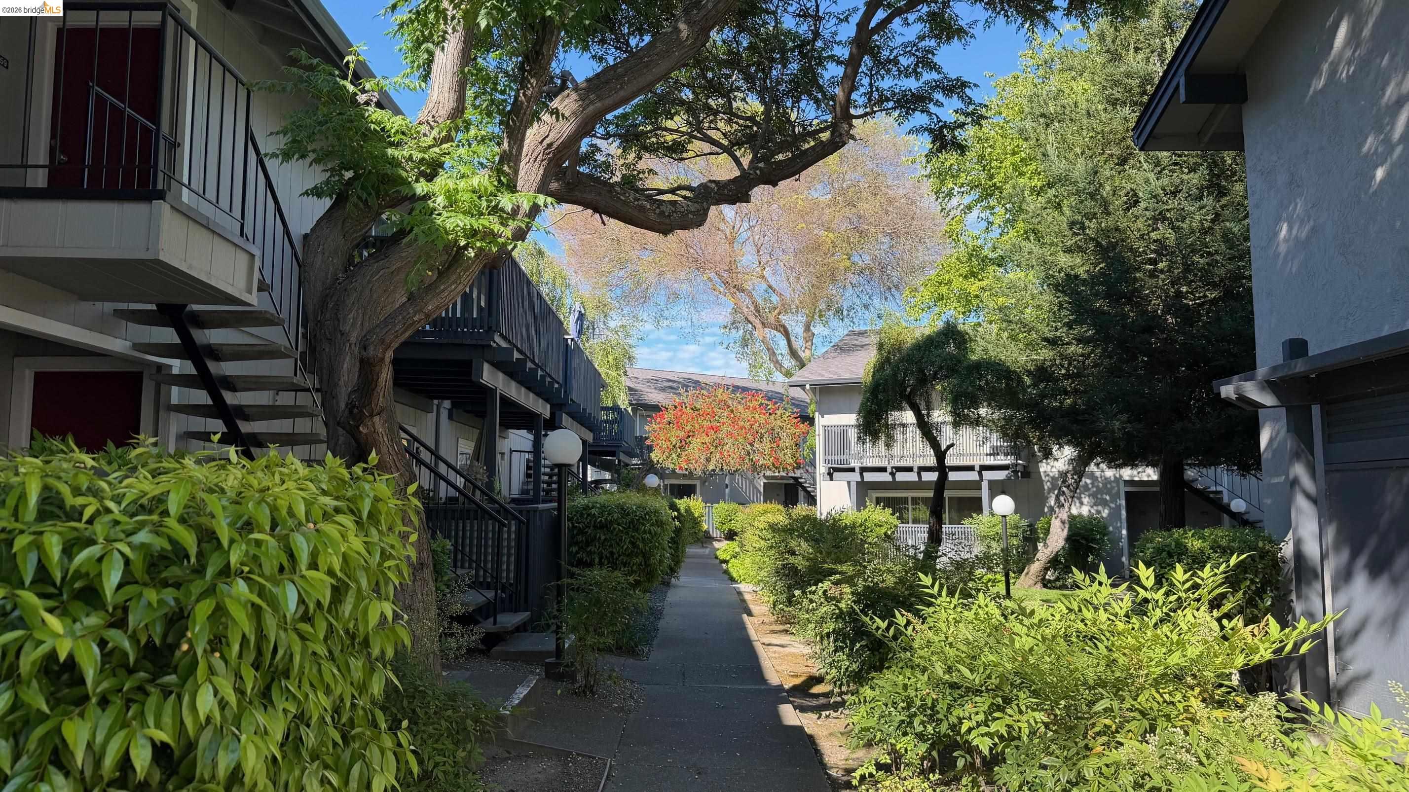 9085 Alcosta Boulevard, Unit 331 San Ramon, CA 94583 - Photo 16 of 18 View of home's community with stairway