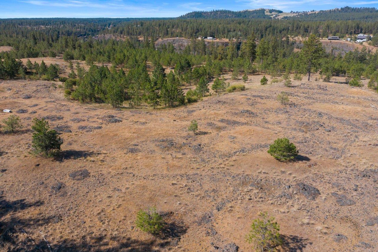 11314 South Scribner Road Cheney, WA 99004 - Photo 11 of 15