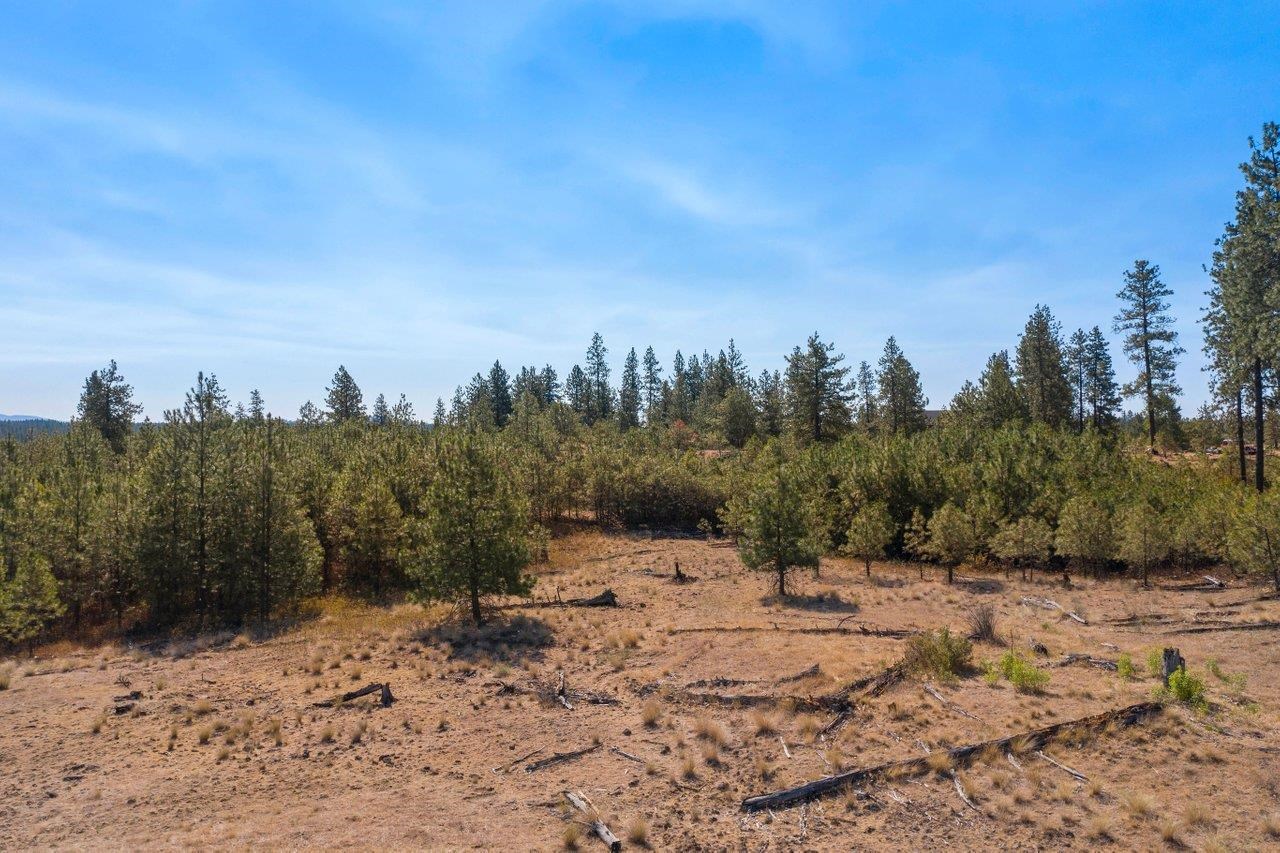 11314 South Scribner Road Cheney, WA 99004 - Photo 12 of 15