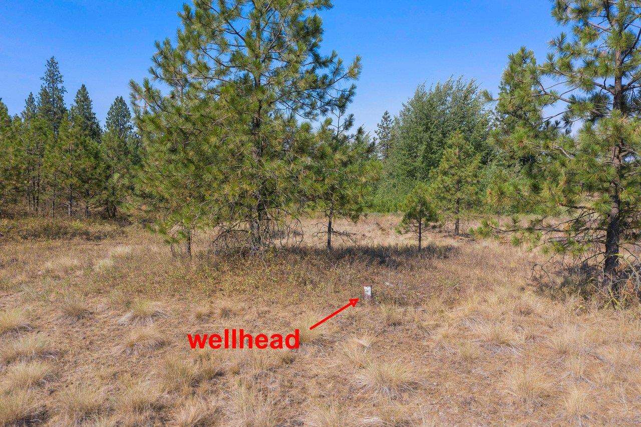11314 South Scribner Road Cheney, WA 99004 - Photo 13 of 15
