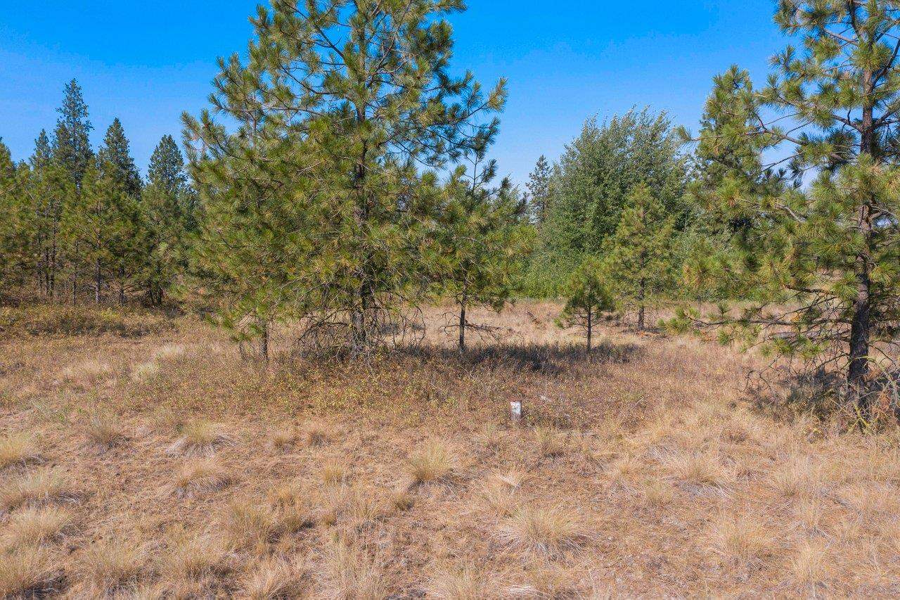 11314 South Scribner Road Cheney, WA 99004 - Photo 14 of 15