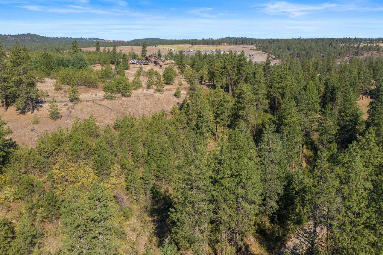 11314 South Scribner Road Cheney, WA 99004 - Photo 7 of 15