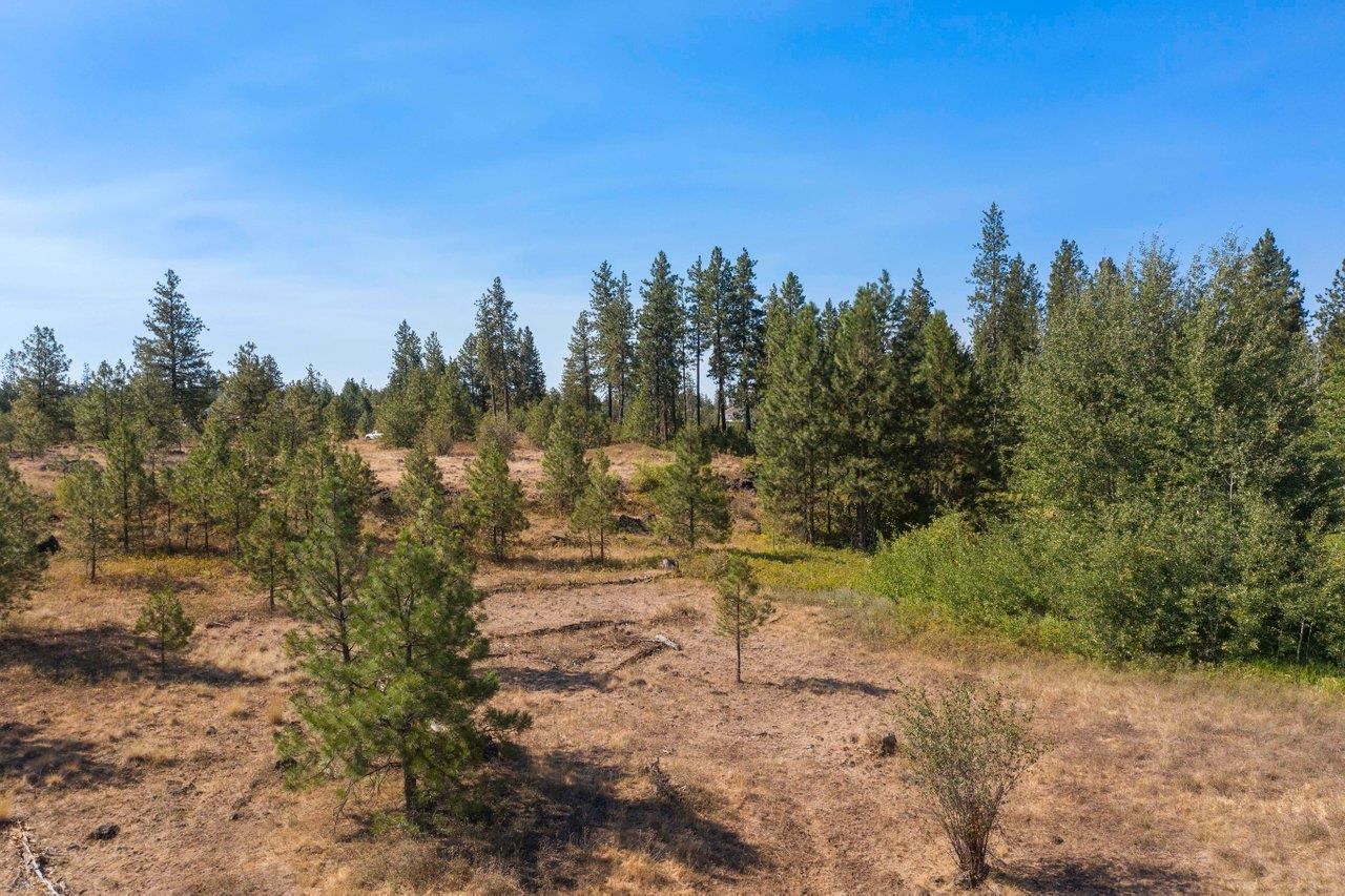 11314 South Scribner Road Cheney, WA 99004 - Photo 8 of 15