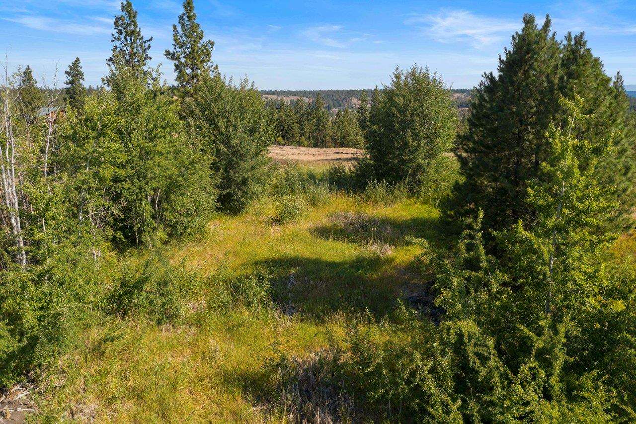 11314 South Scribner Road Cheney, WA 99004 - Photo 9 of 15