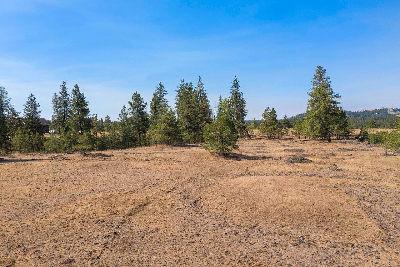 11314 South Scribner Road Cheney, WA 99004 - Photo 10 of 15