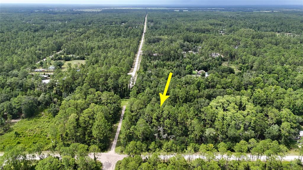 5446 Mango Avenue Bunnell, FL 32110 - Photo 7 of 17