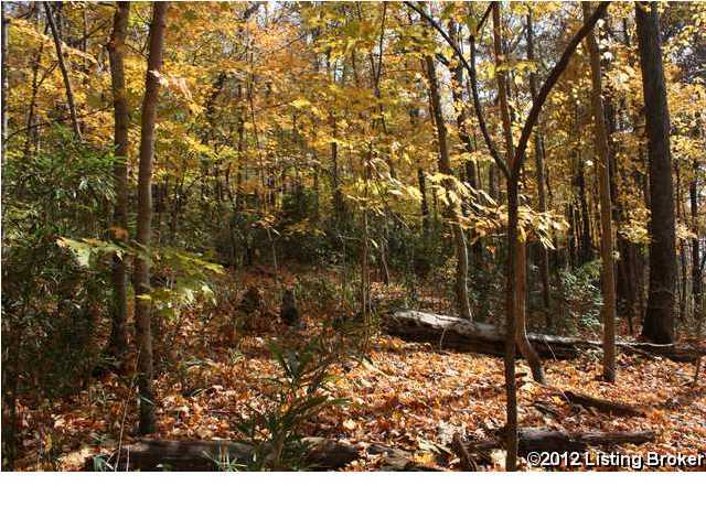 1504 Country Paradise Road Leitchfield, KY 42754 - Photo 23 of 24 Additional Photo