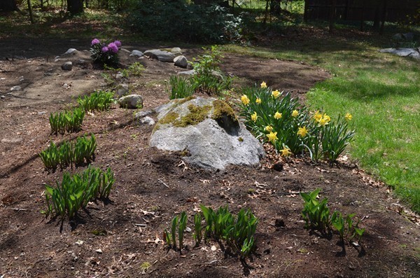 62 Blanchard Road Harvard, MA 01451 - Photo 14 of 18