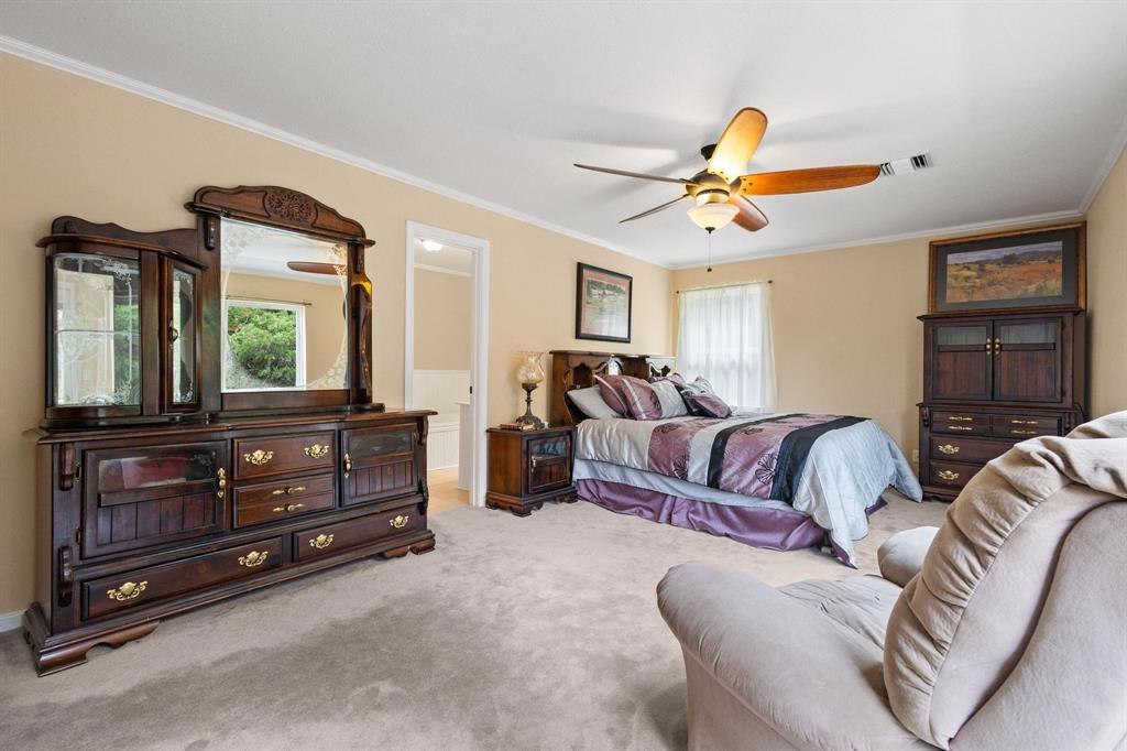 455 Lakepoint Loop Pottsboro, TX 75076 - Photo 22 of 40 Carpeted bedroom with ornamental molding, multiple windows, and a ceiling fan