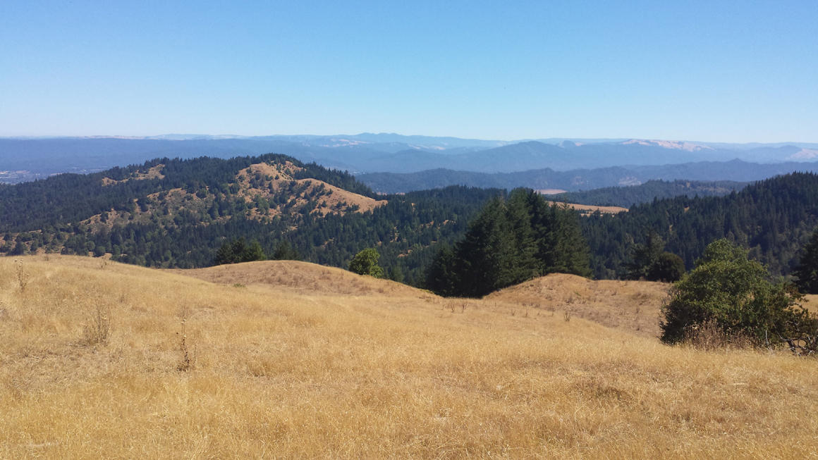 0 Price Creek Road, Unit FIVE Ferndale, CA 95536 - Photo 2 of 6 View of many hills