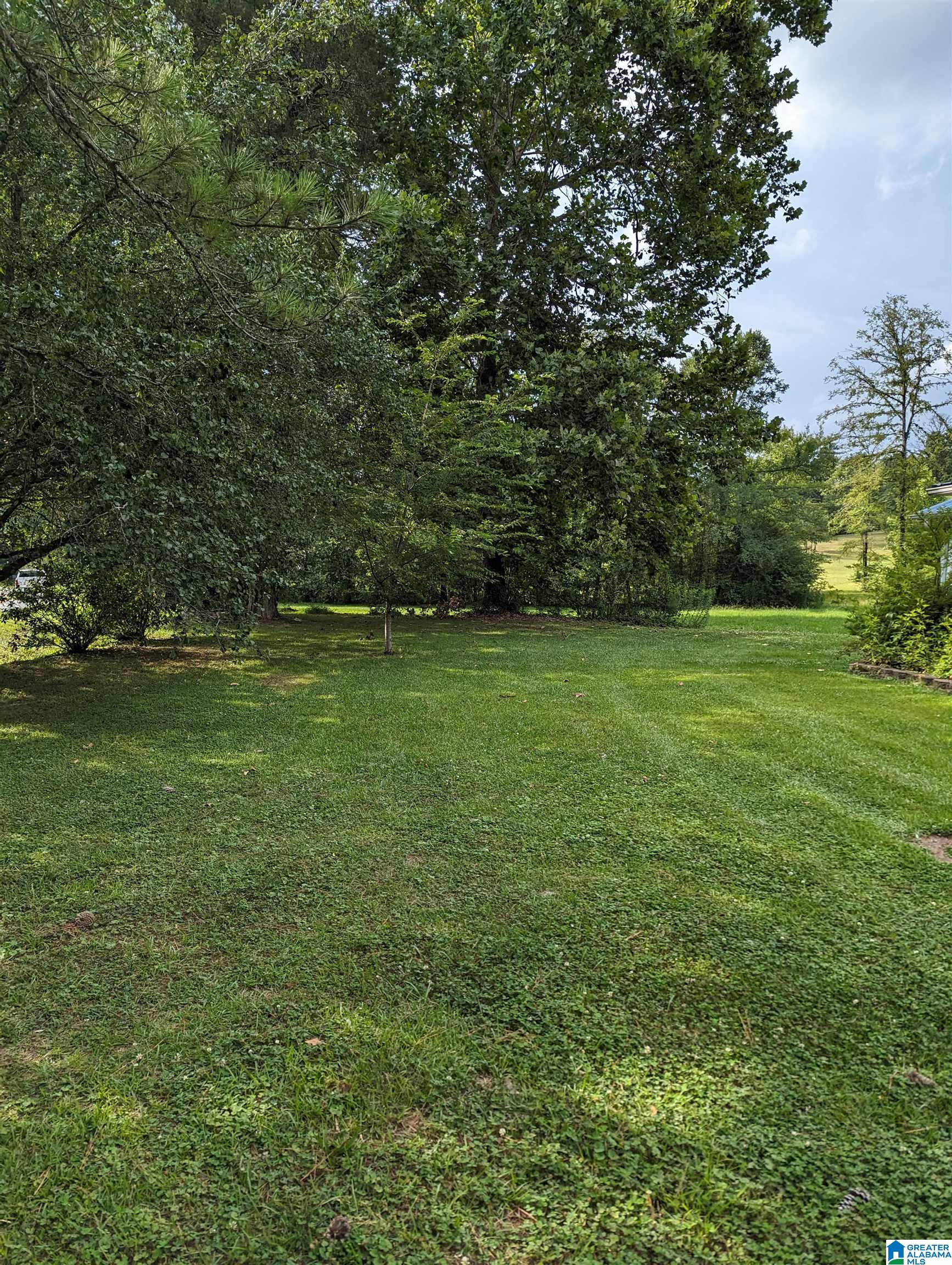 1460 Morris Majestic Road Morris, AL 35116 - Photo 10 of 10
