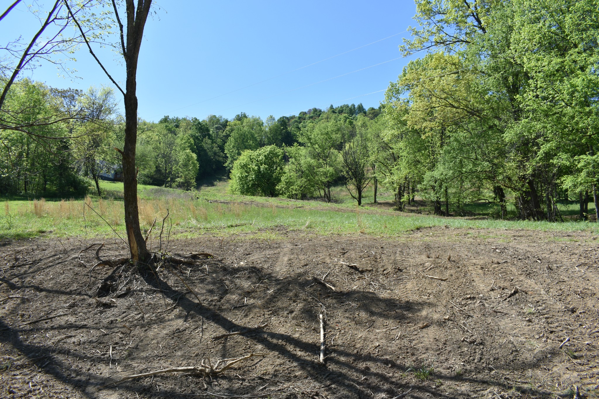 0 Kempville Highway Carthage, TN 37030 - Photo 2 of 9 a view of a yard with a tree