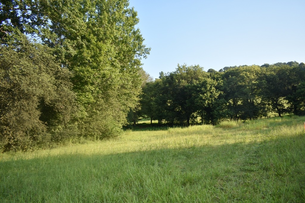 0 Kempville Highway Carthage, TN 37030 - Photo 3 of 9 a yard with a trees in the background