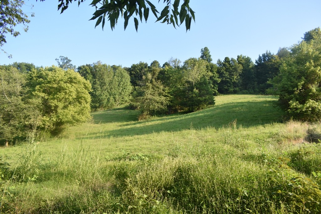 0 Kempville Highway Carthage, TN 37030 - Photo 4 of 9 a lake view with beach