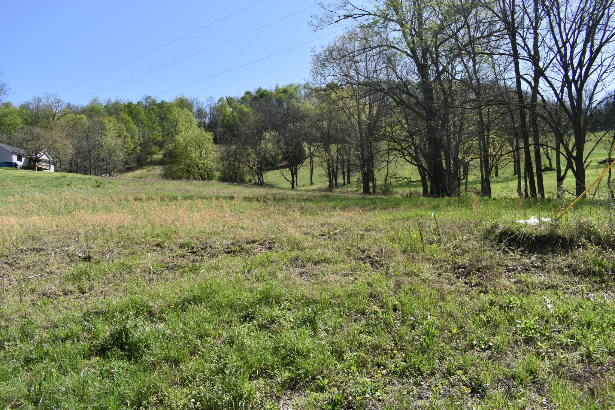 0 Kempville Highway Carthage, TN 37030 - Photo 6 of 9 a view of field with trees in background