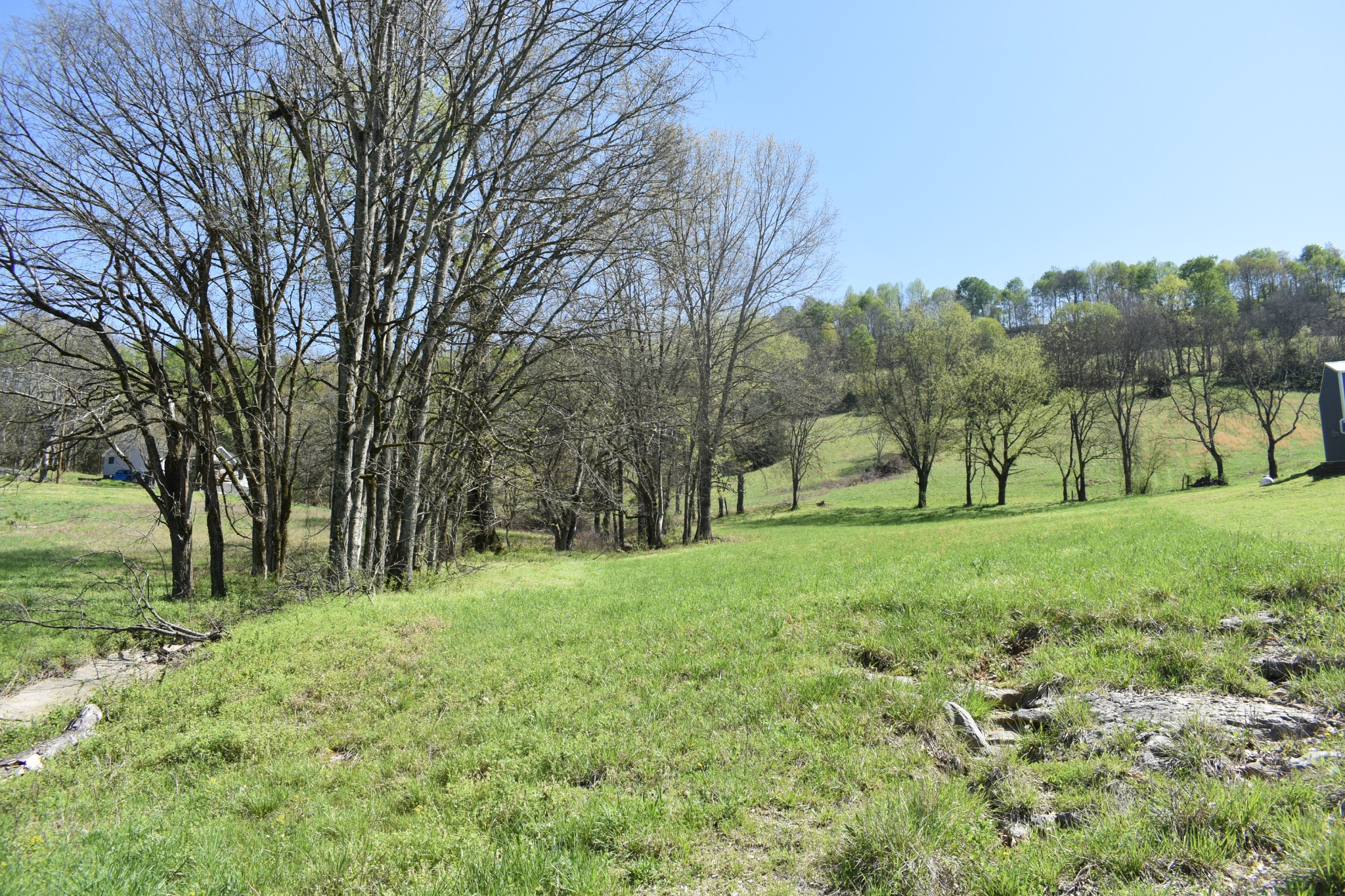 0 Kempville Highway Carthage, TN 37030 - Photo 7 of 9 a view of backyard with large trees