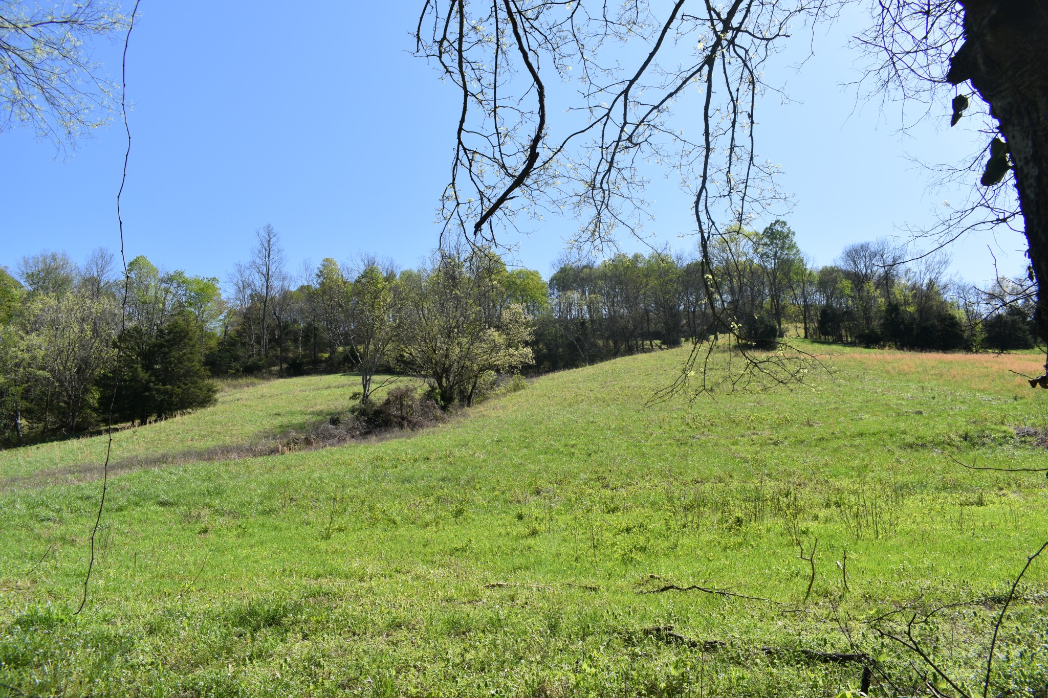 0 Kempville Highway Carthage, TN 37030 - Photo 9 of 9 a backyard of a house with lots of green space