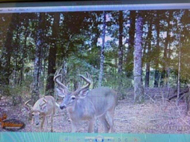 0 Snuffbox Road Andalusia, AL 36421 - Photo 5 of 6 Gallery Image 5