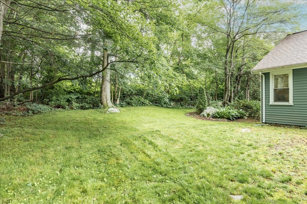 14 Francis Wyman Road Burlington, MA 01803 - Photo 36 of 39 a backyard of a house with plants and large tree