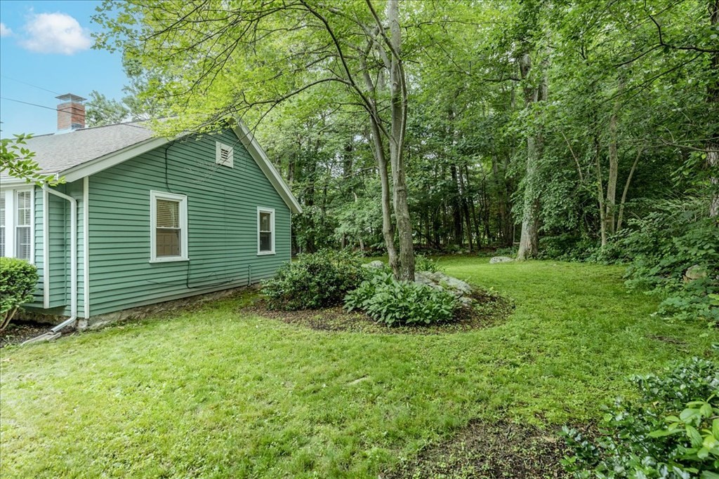 14 Francis Wyman Road Burlington, MA 01803 - Photo 39 of 39 a view of a backyard with plants and large trees