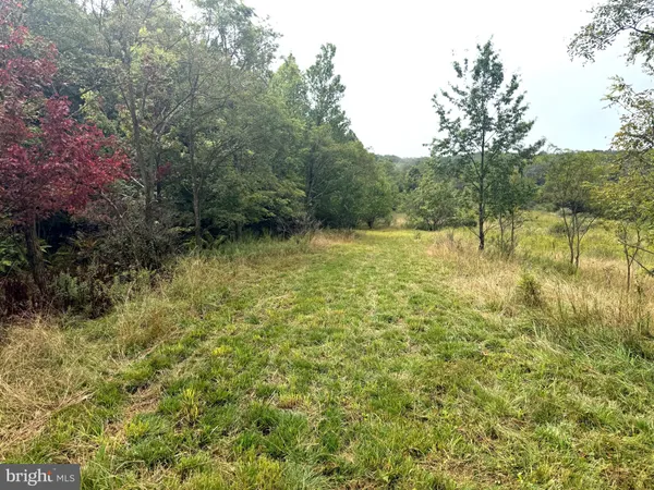 $46,500 | 0 Pinnacle Road, Keyser, WV 26726