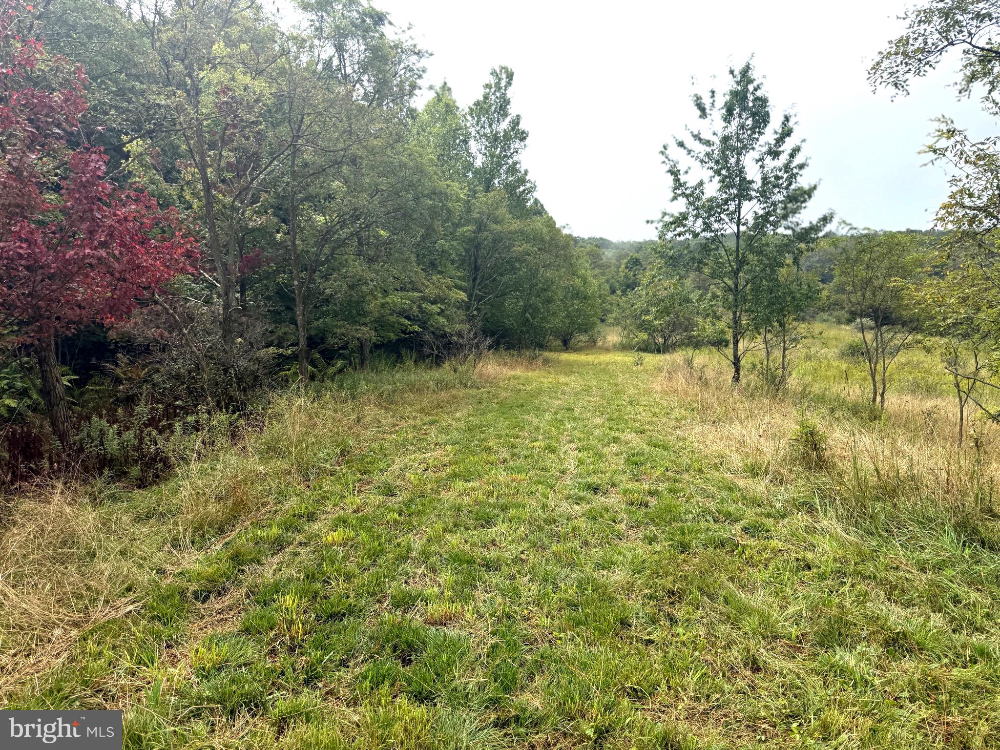 0 Pinnacle Road Keyser, WV 26726 - Photo 1 of 61