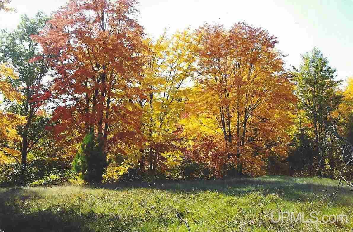 Tbd Wpa Road, Unit LOT 1 Vulcan, MI 49892 - Photo 1 of 4