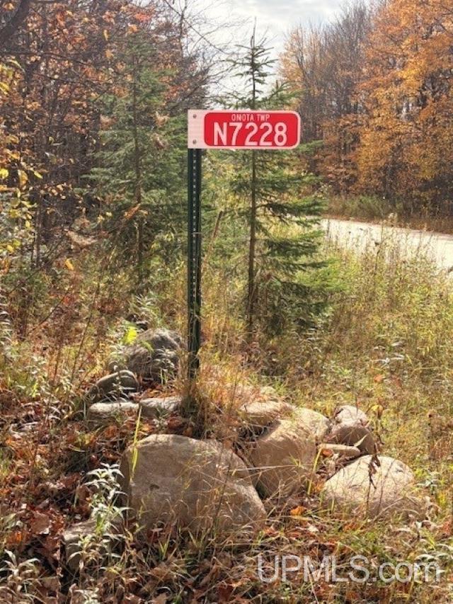 N7228 Rock River Road Deerton, MI 49822 - Photo 12 of 46