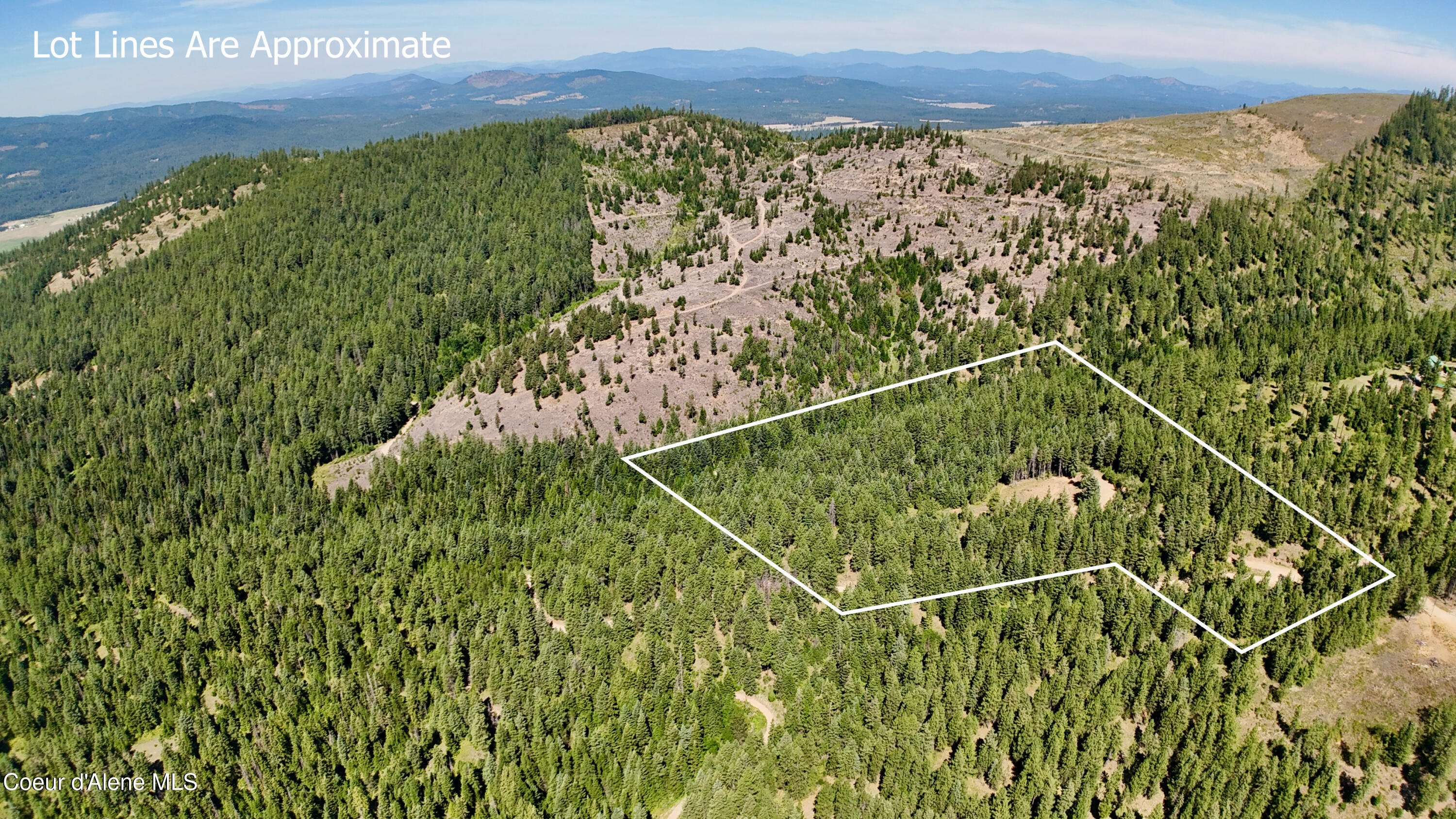 1710 Tower Mountain Road Blanchard, ID 83804 - Photo 39 of 44 40