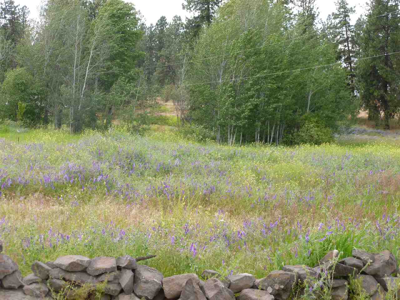 502 South Abbott Road Spokane, WA 99224 - Photo 1 of 3