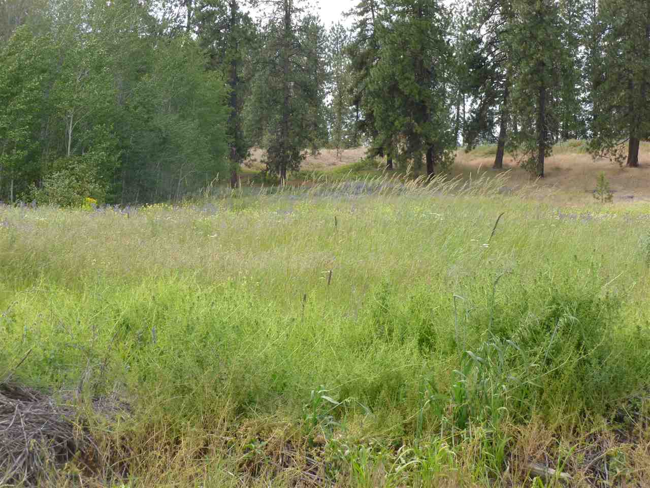 502 South Abbott Road Spokane, WA 99224 - Photo 2 of 3