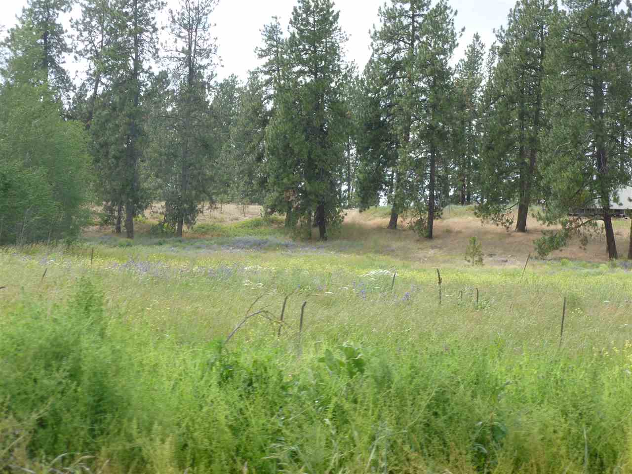 502 South Abbott Road Spokane, WA 99224 - Photo 3 of 3