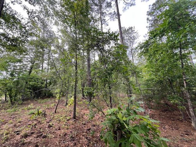 4 Fox Young Road, Unit FYF 4 Wagener, SC 29164 - Photo 4 of 13