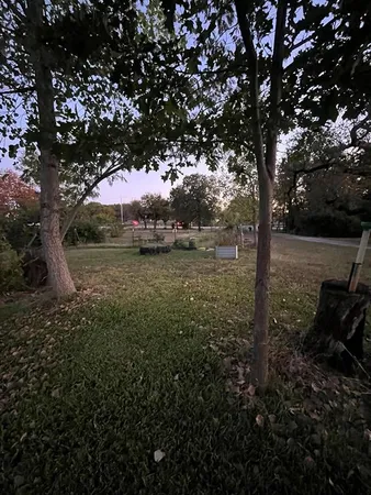 a view of a yard with large trees