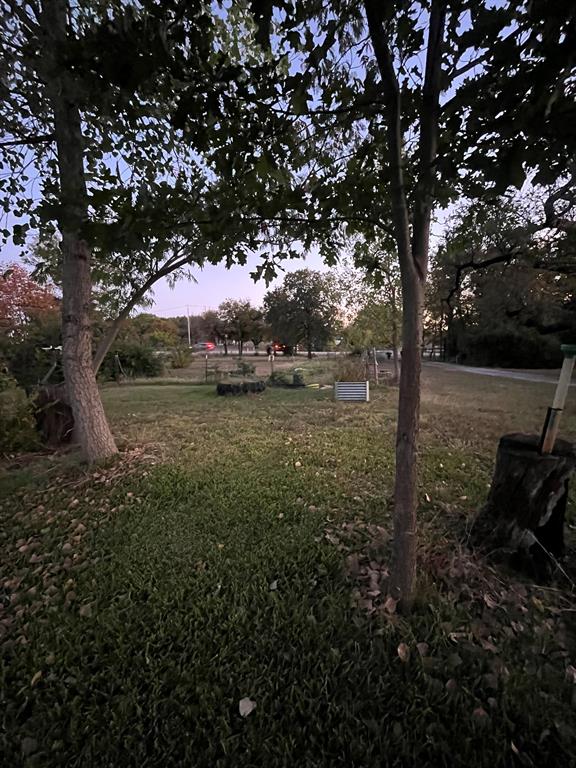 1617 Florence Drive Azle, TX 76020 - Photo 4 of 7 a view of a yard with large trees
