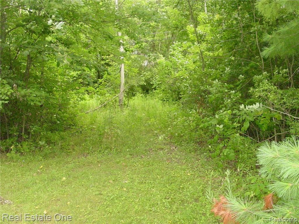 0 Mead Lane Rochester, MI 48306 - Photo 1 of 4