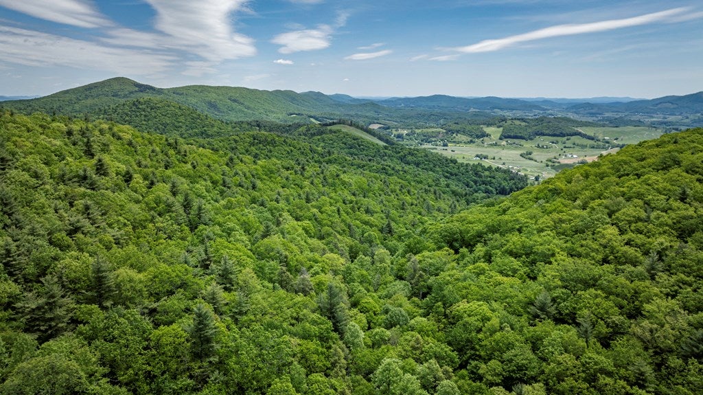 Tbd Blue Springs Road Troutdale, VA 24378 - Photo 17 of 52 Gallery Image 17