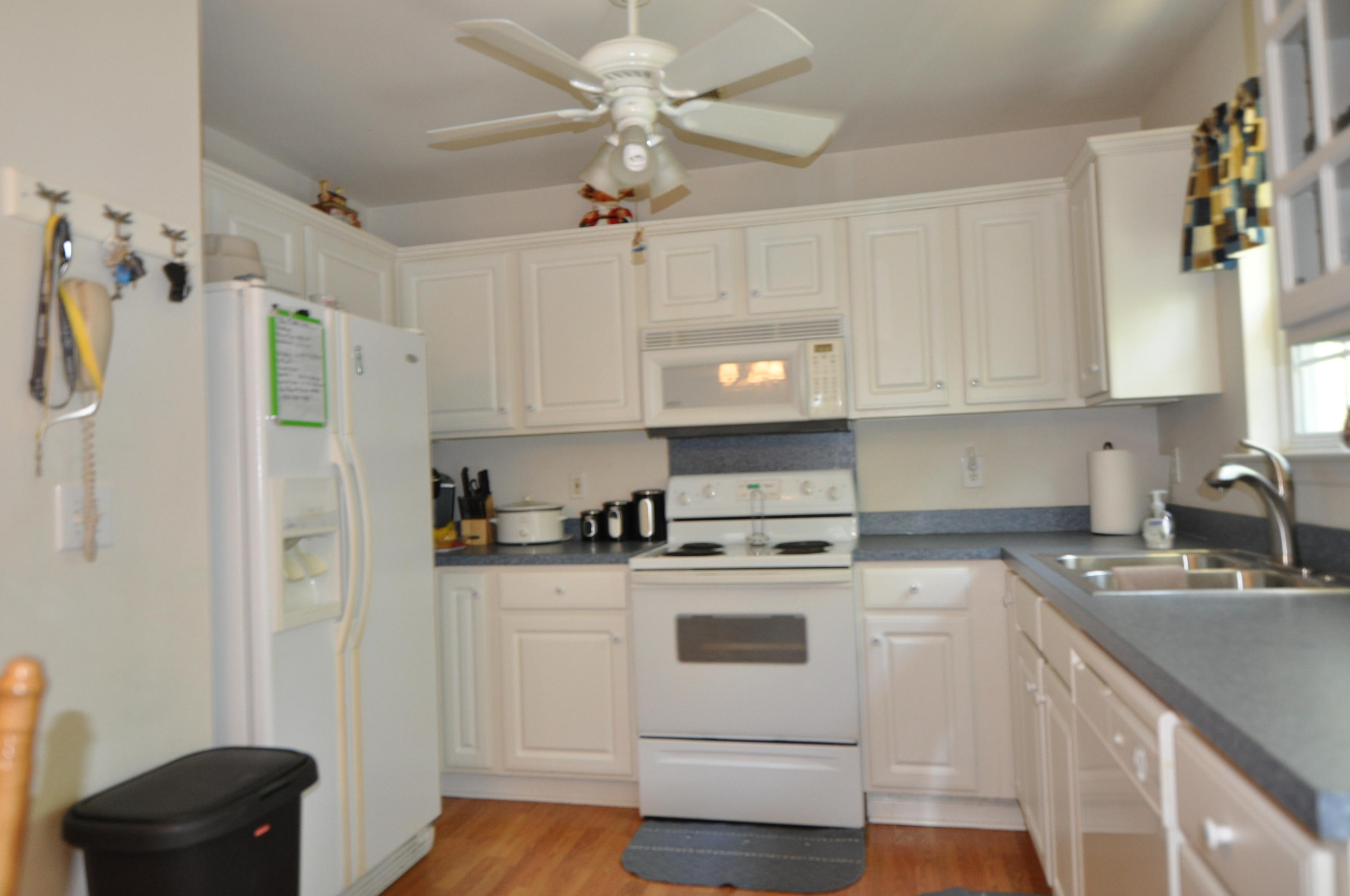 4256 Sebago Road Meggett, SC 29449 - Photo 4 of 21 kitchen