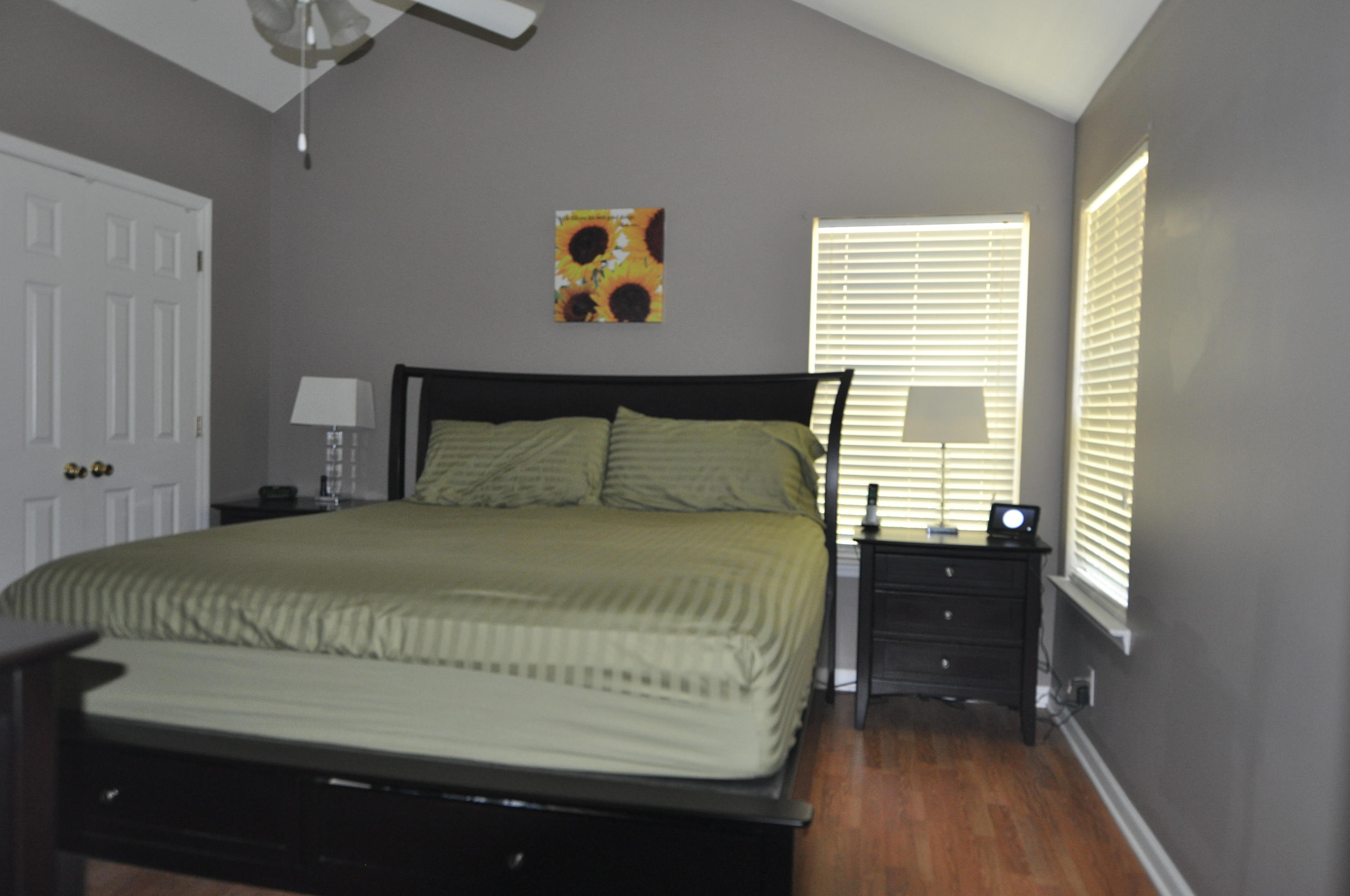 4256 Sebago Road Meggett, SC 29449 - Photo 8 of 21 master bedroom