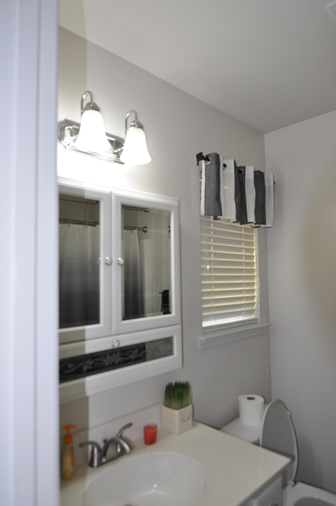 4256 Sebago Road Meggett, SC 29449 - Photo 9 of 21 master bath