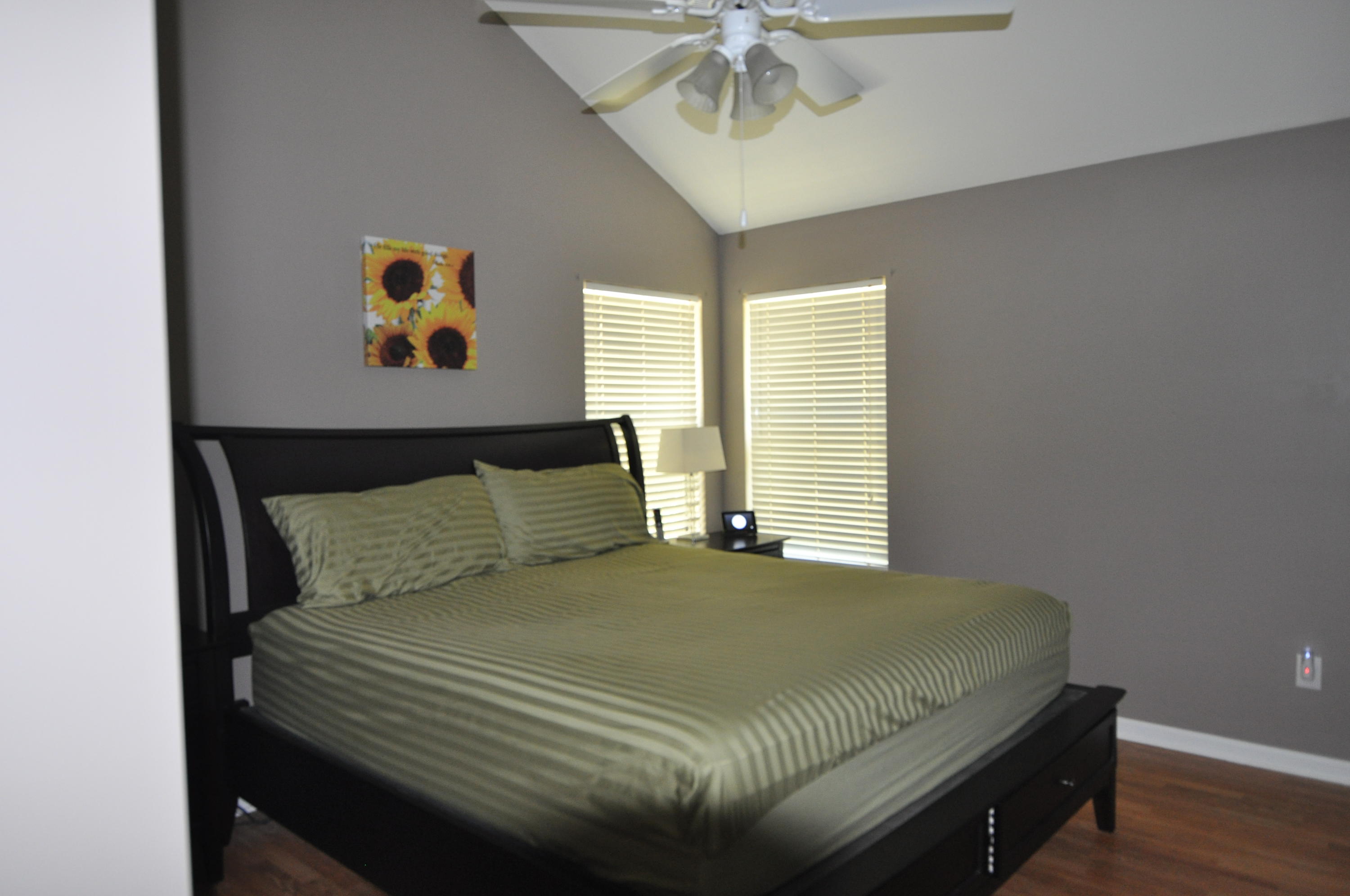 4256 Sebago Road Meggett, SC 29449 - Photo 10 of 21 mater br. cathedral ceiling