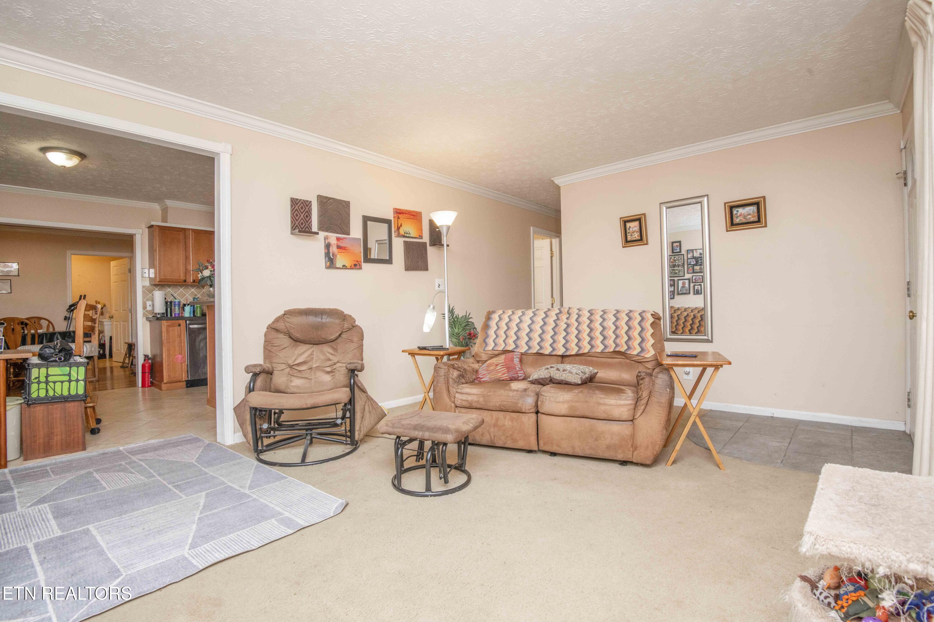 223 White Oak Lane Heiskell, TN 37754 - Photo 4 of 43 living 1_1