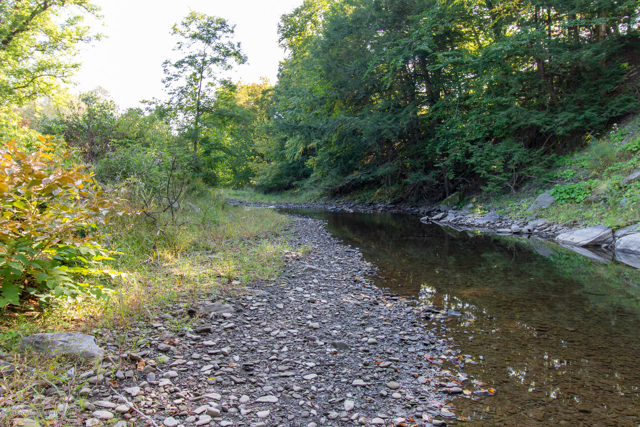 511 Meshoppen Creek Road Meshoppen, PA 18630 - Photo 23 of 30 a view of a lake with trees all around