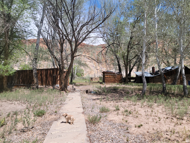 10429 4th Street East Randlett, UT 84063 - Photo 19 of 19 Concrete paver pathway leading through a natural landscape with mature trees. View of storage sheds, a stone structure and old cabin on the right.