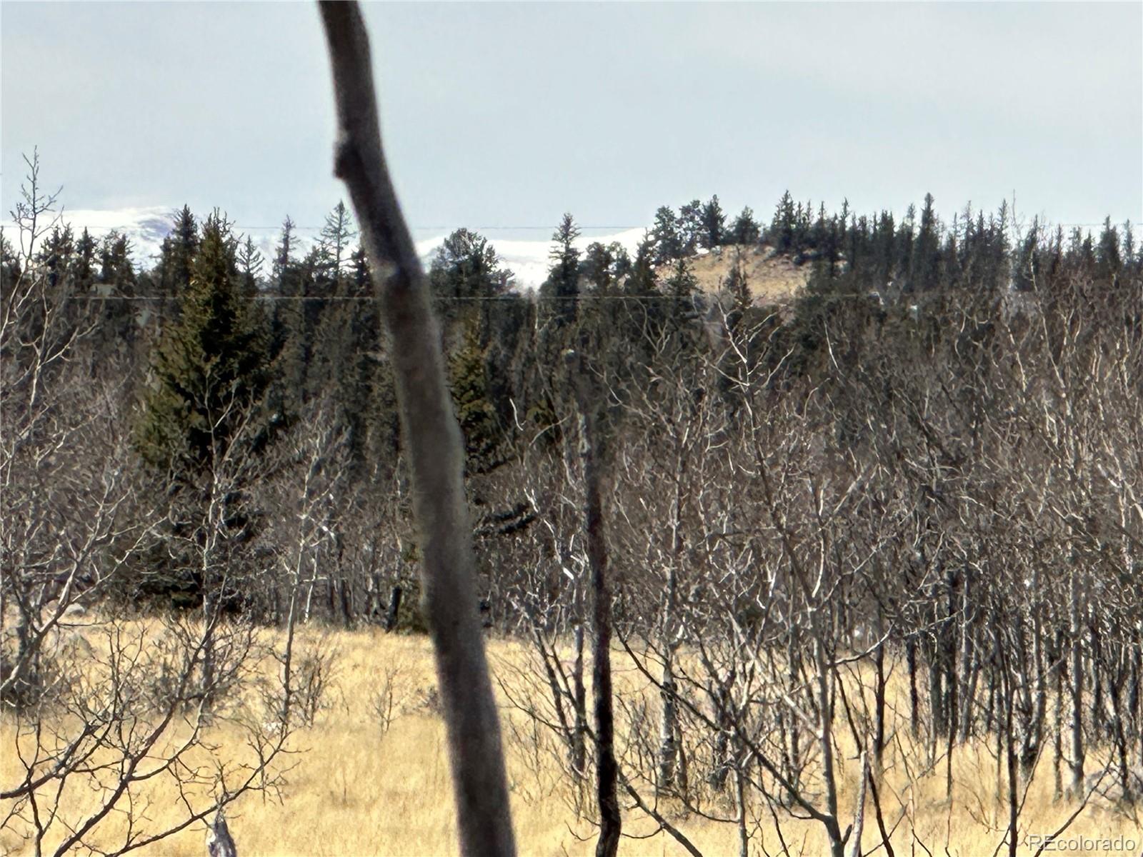 489 Highfill Road Jefferson, CO 80456 - Photo 11 of 21 Gallery Image 11