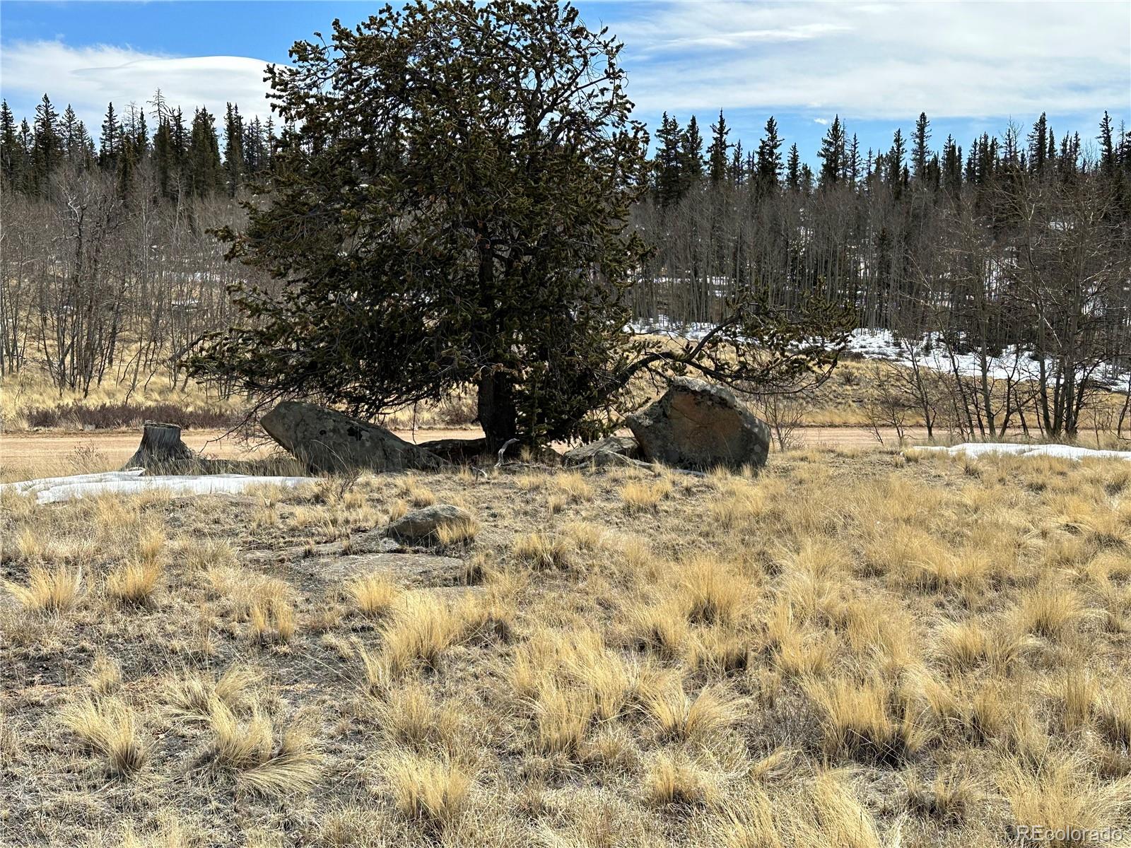 489 Highfill Road Jefferson, CO 80456 - Photo 12 of 21 Gallery Image 12