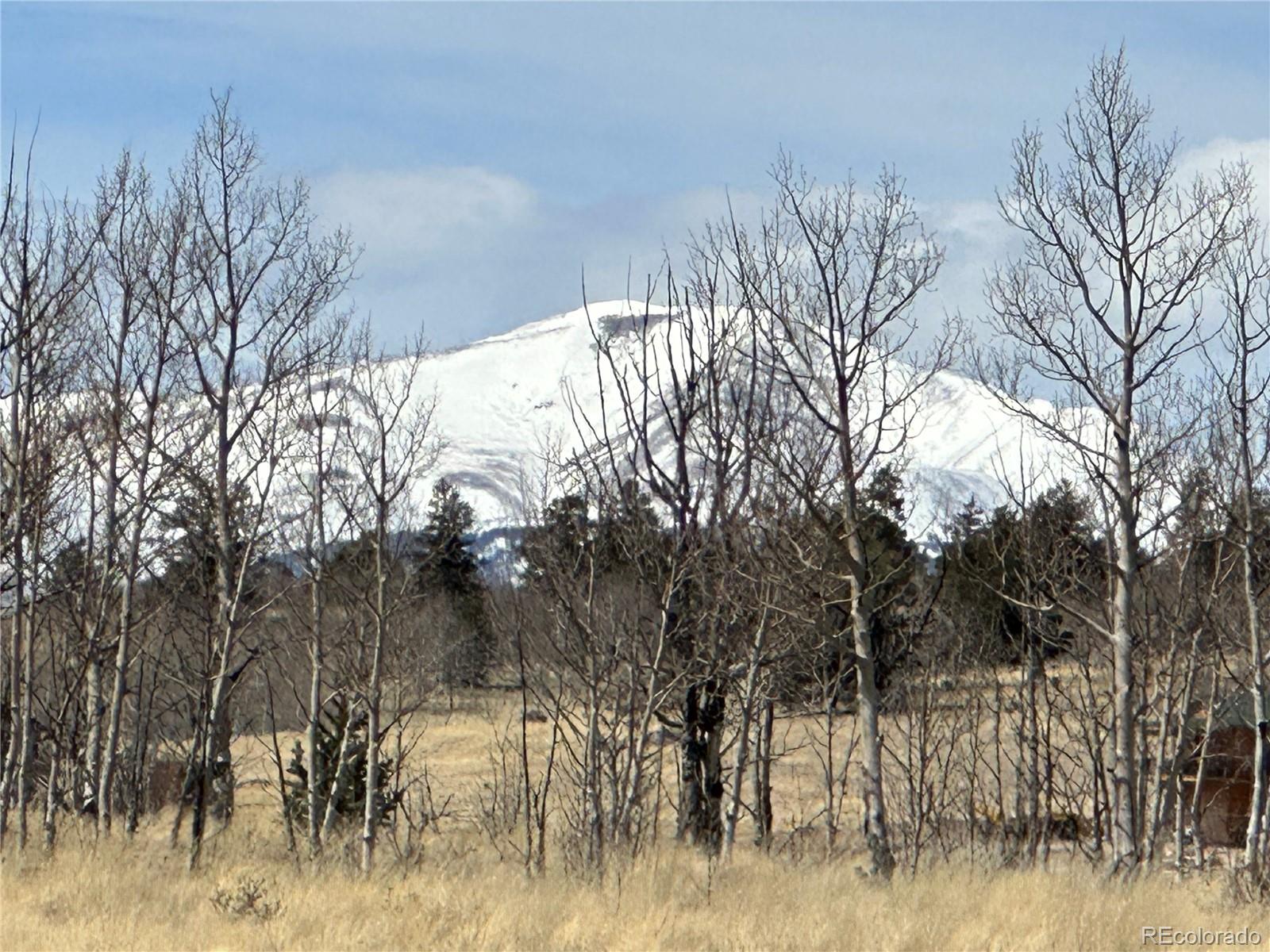 489 Highfill Road Jefferson, CO 80456 - Photo 13 of 21 Gallery Image 13