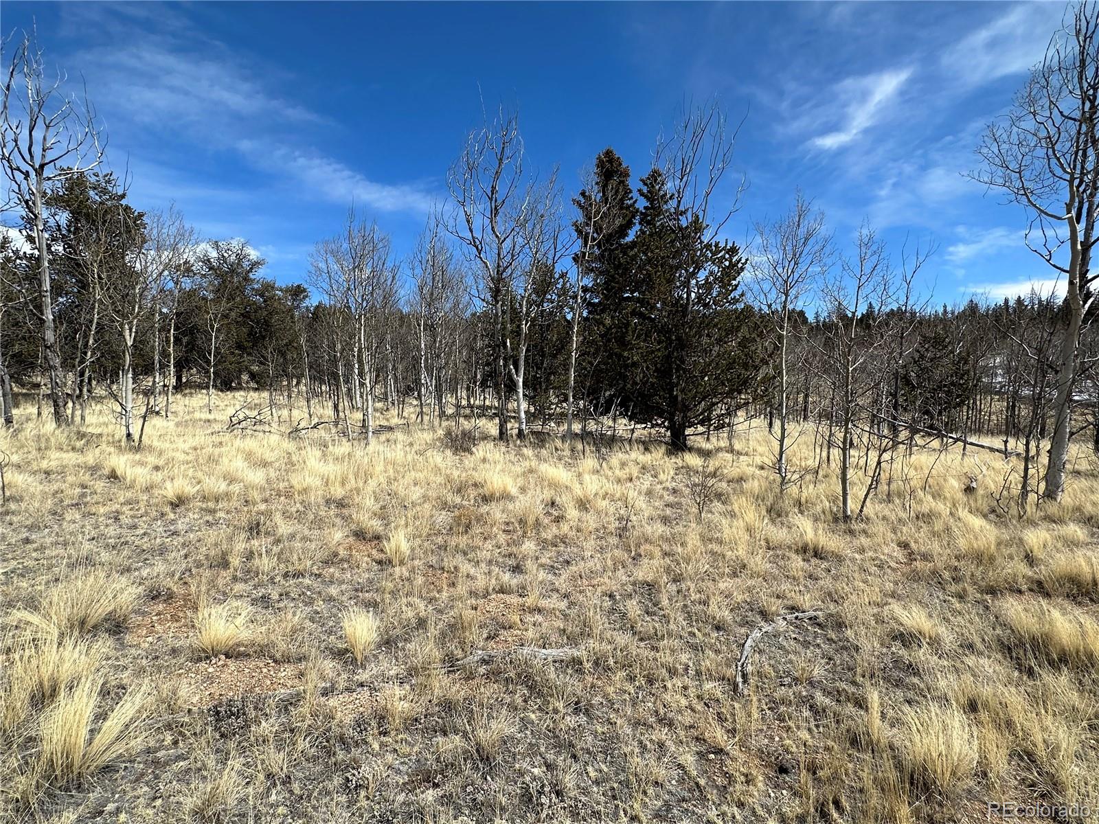 489 Highfill Road Jefferson, CO 80456 - Photo 14 of 21 Gallery Image 14