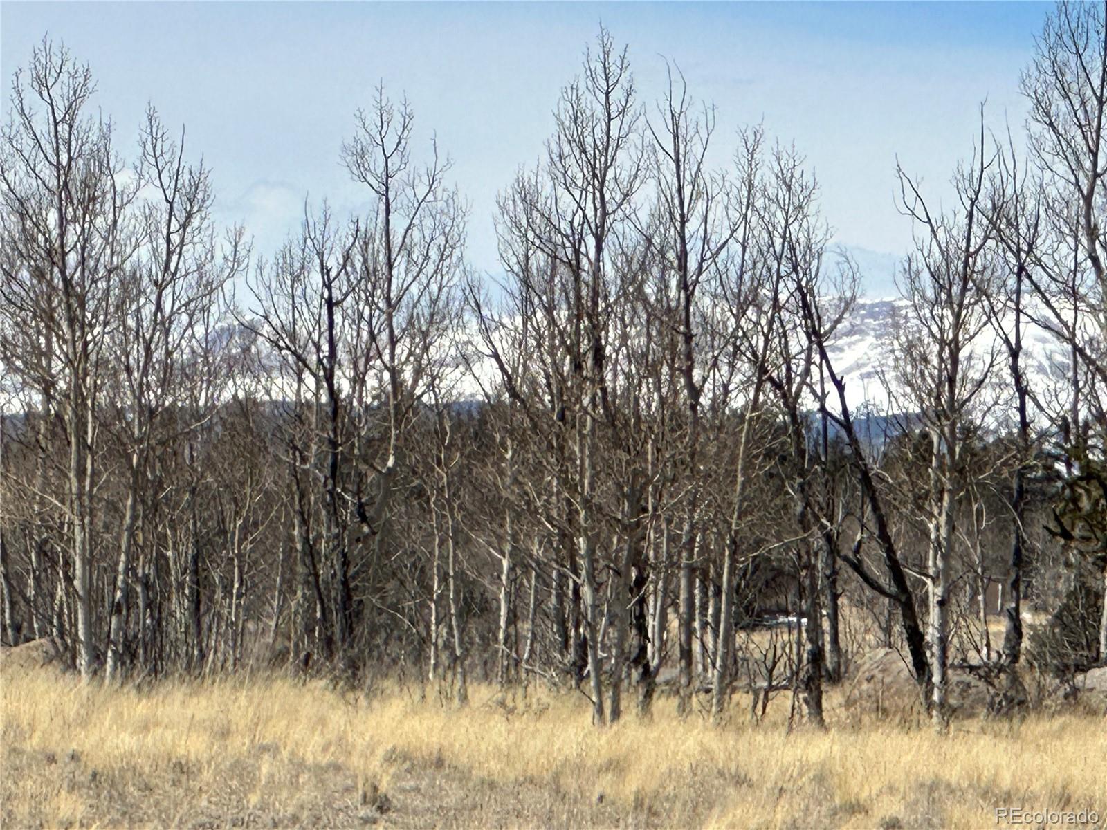 489 Highfill Road Jefferson, CO 80456 - Photo 17 of 21 Gallery Image 17