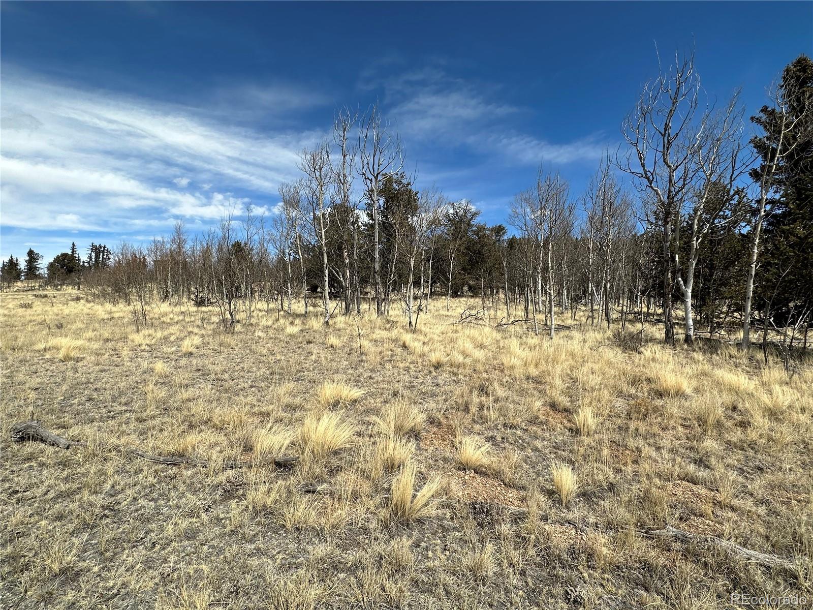 489 Highfill Road Jefferson, CO 80456 - Photo 18 of 21 Gallery Image 18